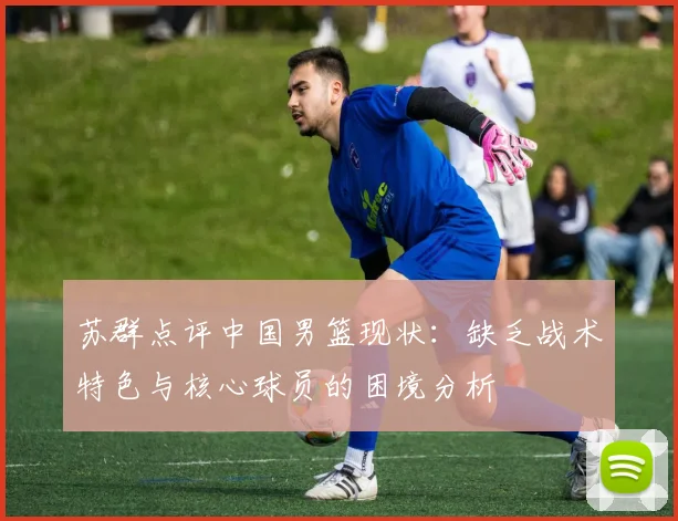 苏群点评中国男篮现状：缺乏战术特色与核心球员的困境分析